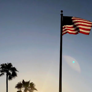 Meet your Posher, Max